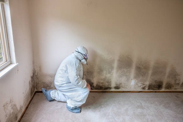 Best Residential Mold Removal  in Green Hill, TN